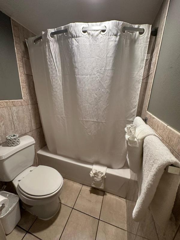 Double Room image 1