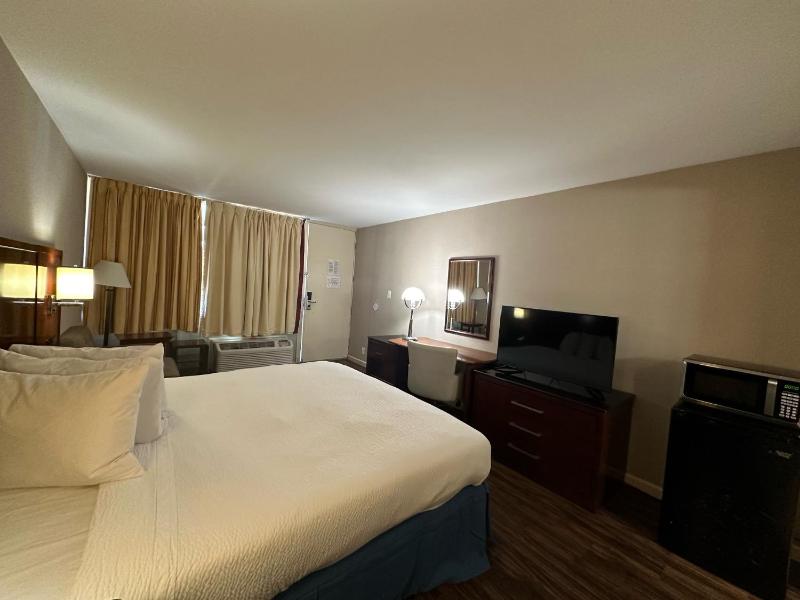 Single Room image 1