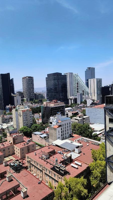 Hotel Royal Reforma - image 26