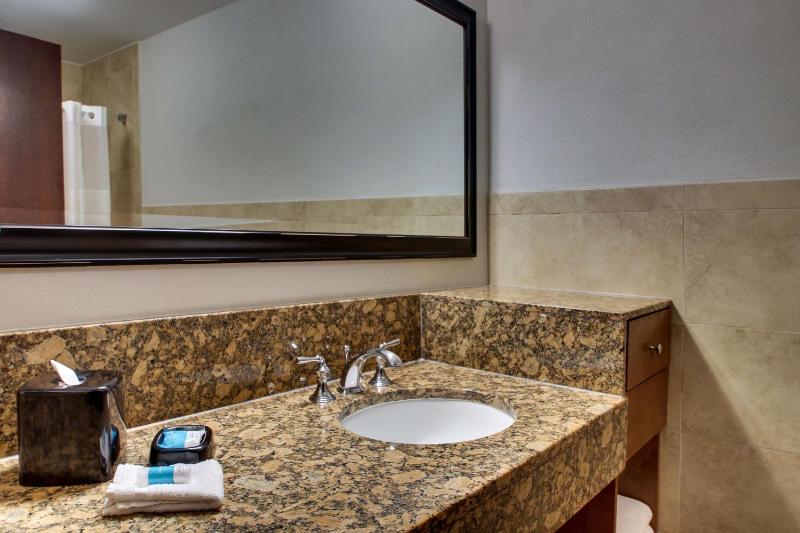 Drury Plaza Hotel San Antonio Riverwalk - image 49