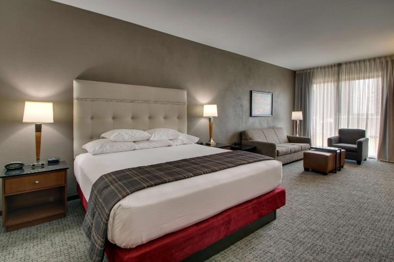 Drury Plaza Hotel San Antonio Riverwalk - image 11