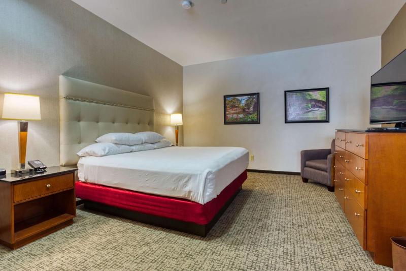 King Suite with Spa Bath image 4