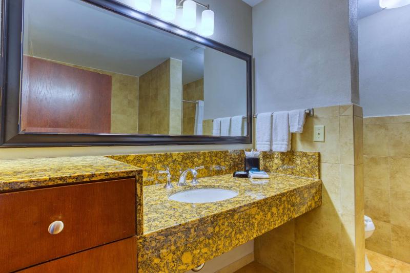 King Suite with Spa Bath image 3