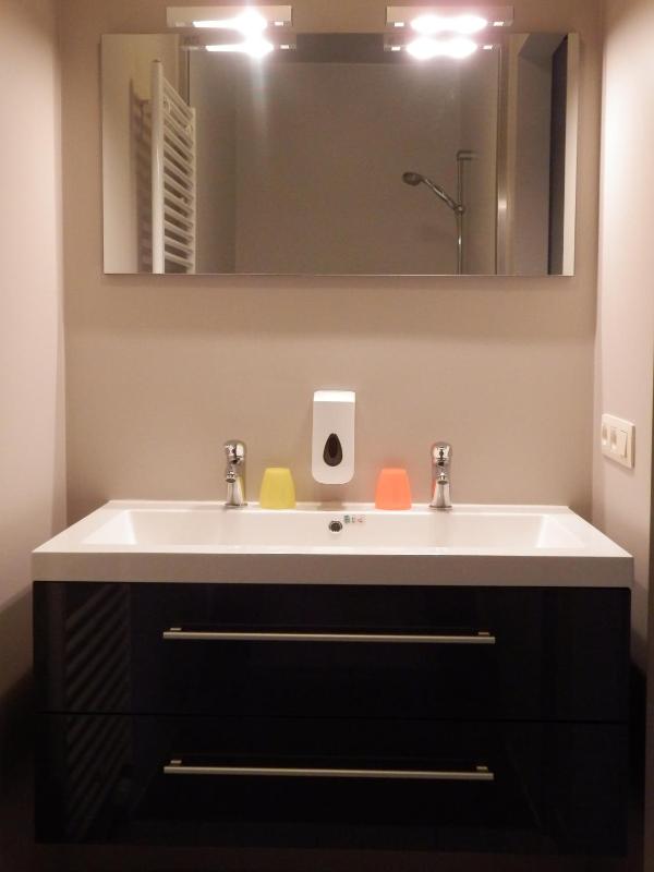 Double or Twin Room image 4