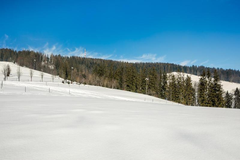 Malownicza Polana Centrum Zakopane - image 9