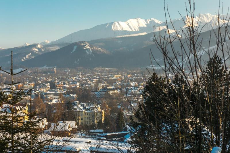 Malownicza Polana Centrum Zakopane - image 38