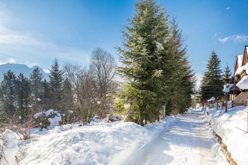 Malownicza Polana Centrum Zakopane - image 13