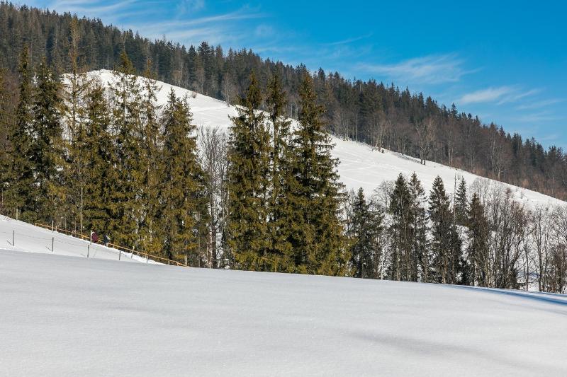 Malownicza Polana Centrum Zakopane - image 37