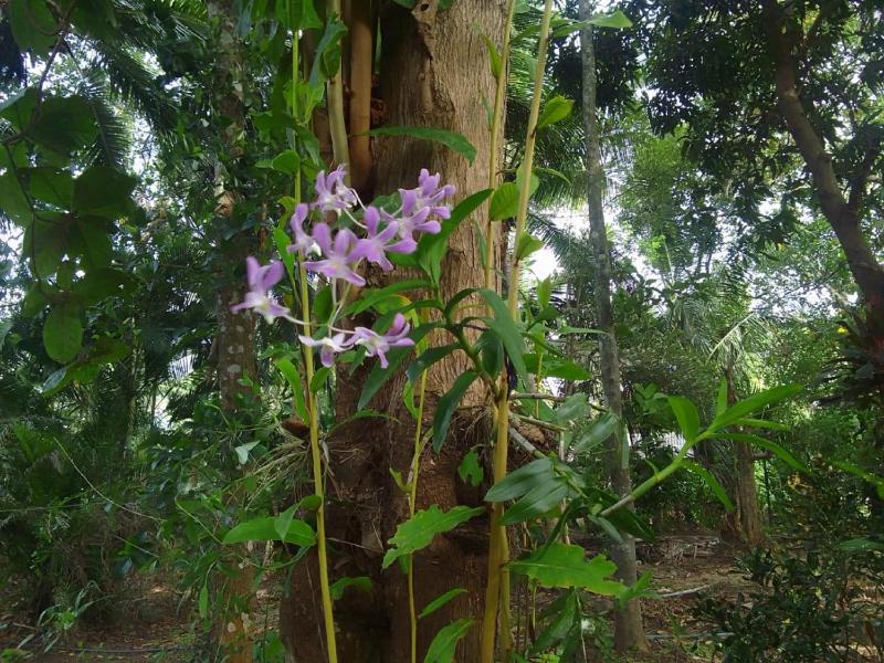 Winstar Homestay - image 14