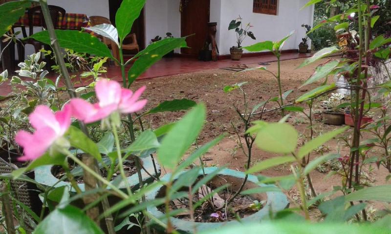 Winstar Homestay - image 3