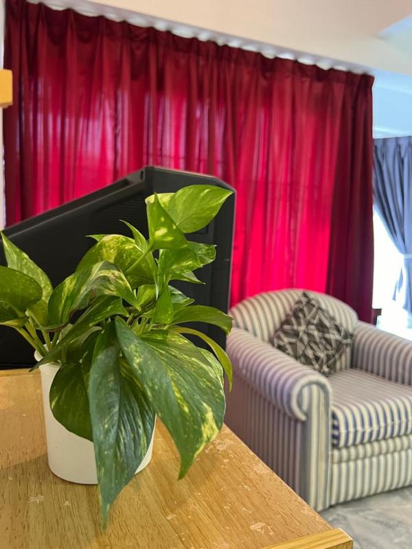 Cozy Studio Unit @ Ocean View Resort - image 18
