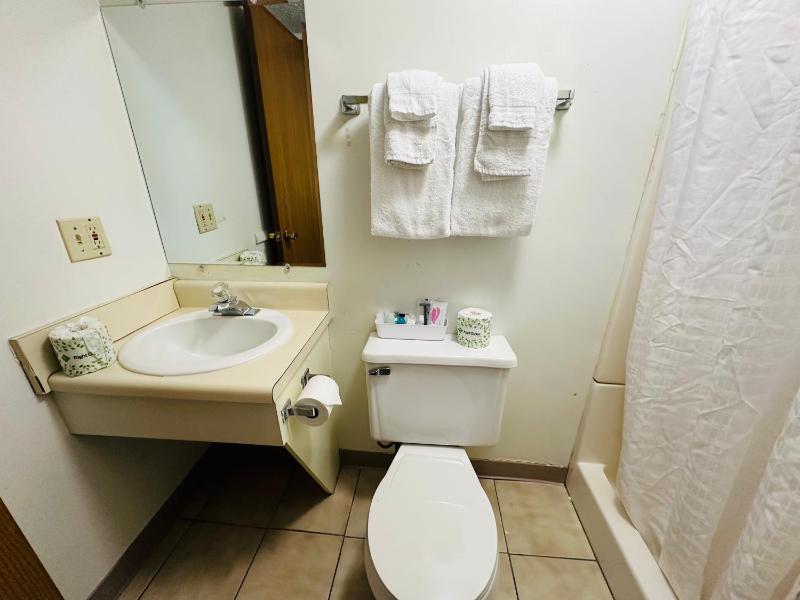 Standard Double Room image 4