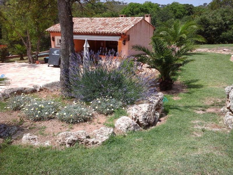 Mas des Lys - image 33