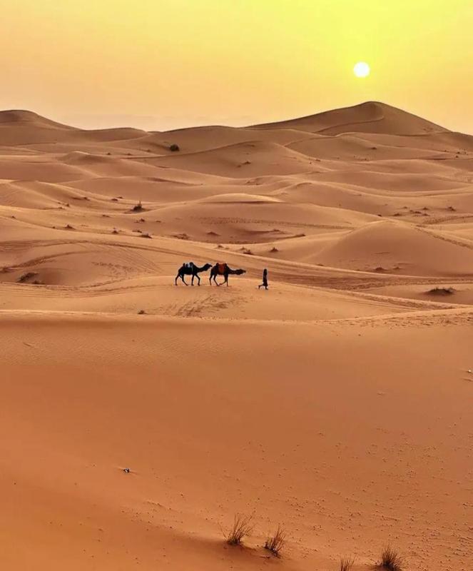 Merzouga Nice luxury Camp - image 40