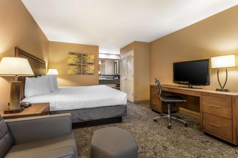 King Room - Disability Access image 4
