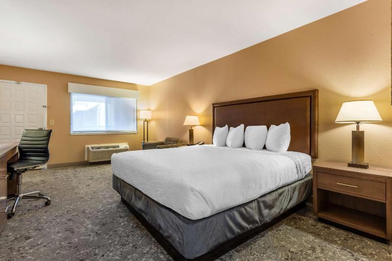 King Room image 4