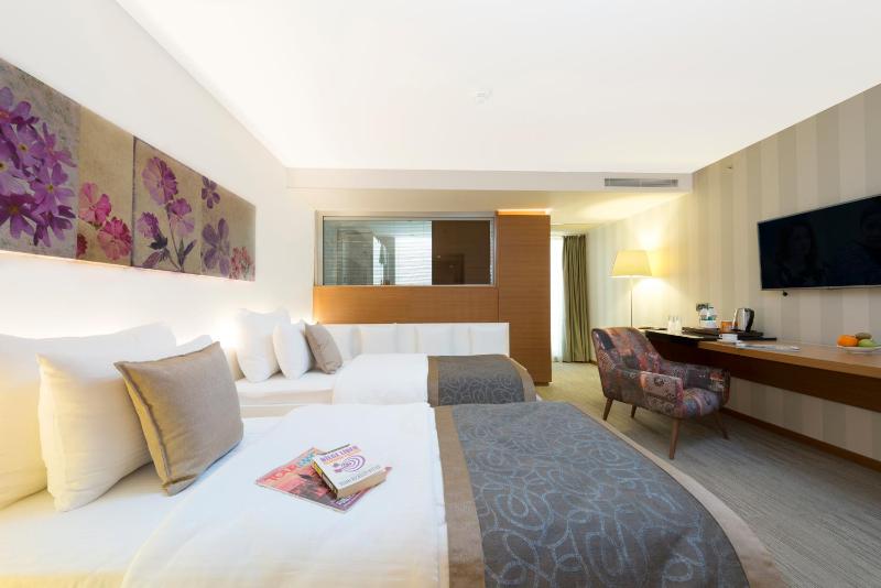 Double or Twin Room image 4