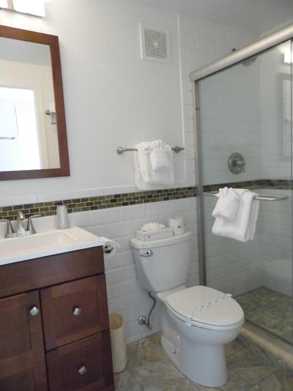 Deluxe Two-Bedroom Apartment image 3