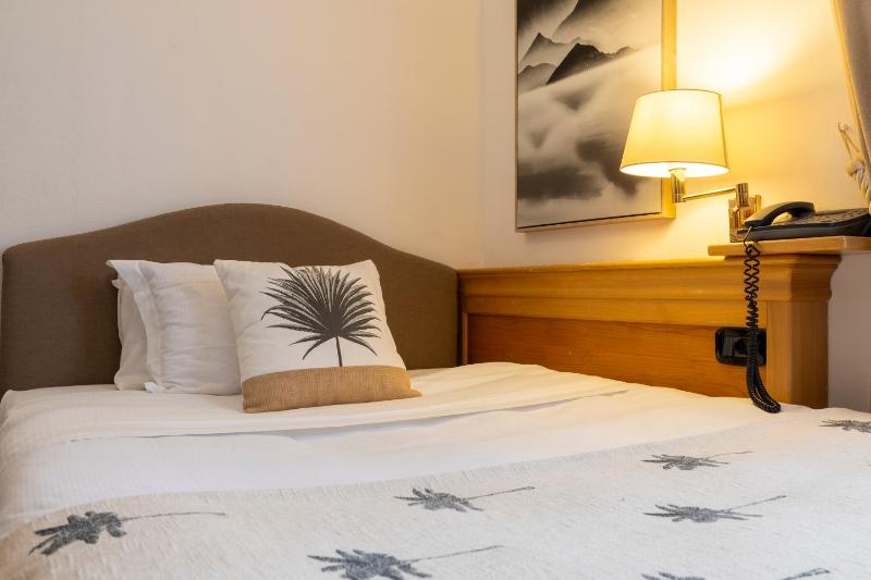 Superior Single Room image 2