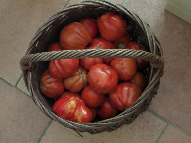 Holiday Home image 4