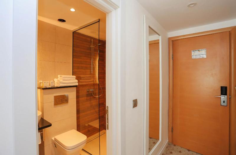 Standard Double or Twin Room Plus image 3