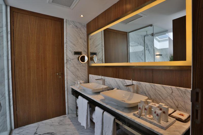 Premium Suite image 2