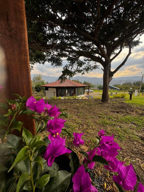 Cabañas Villa Celeste - image 28