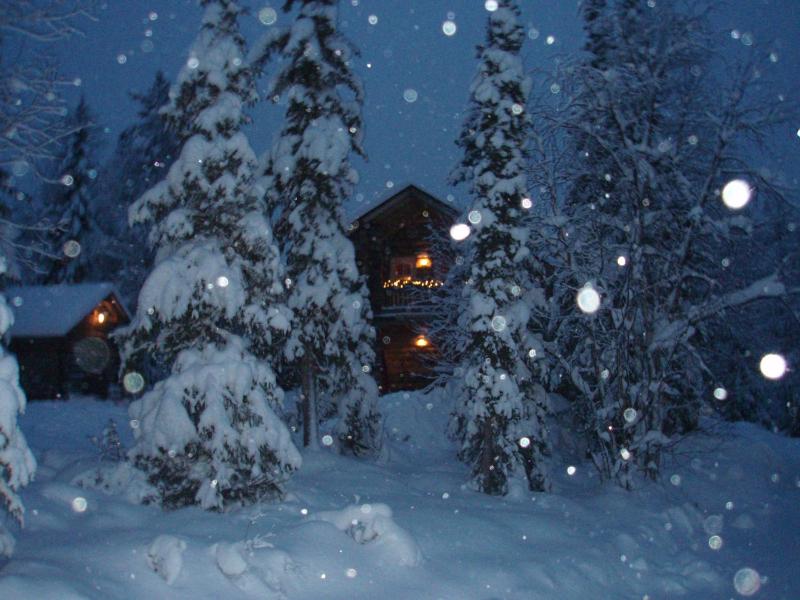 Holiday Home image 3