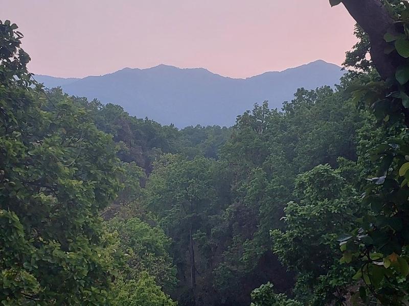 PRITHVI FOREST HOMESTAY - image 4