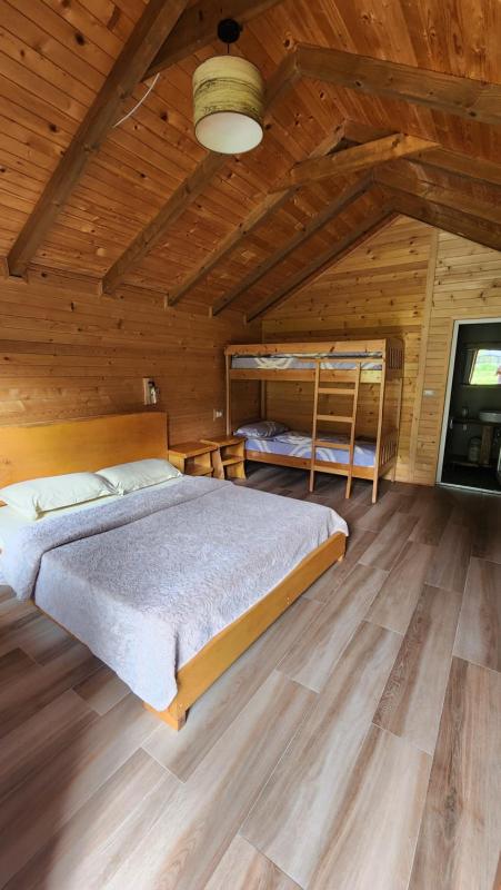 Holiday Home image 3