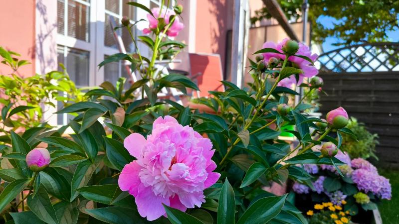 Double Room with Patio image 4