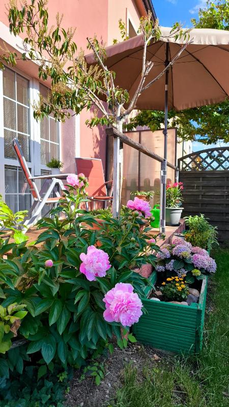 Double Room with Patio image 3