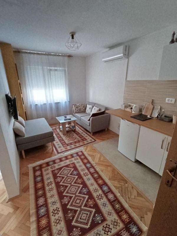 Standard Apartment image 4
