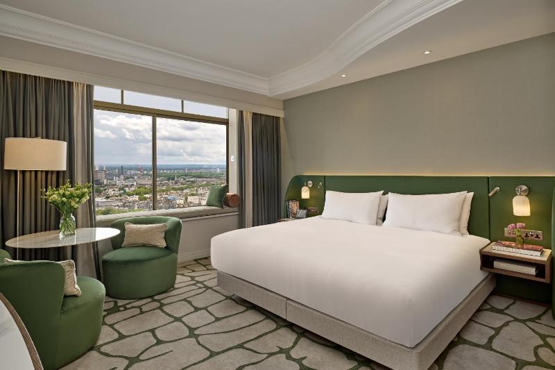 Deluxe King Room image 3
