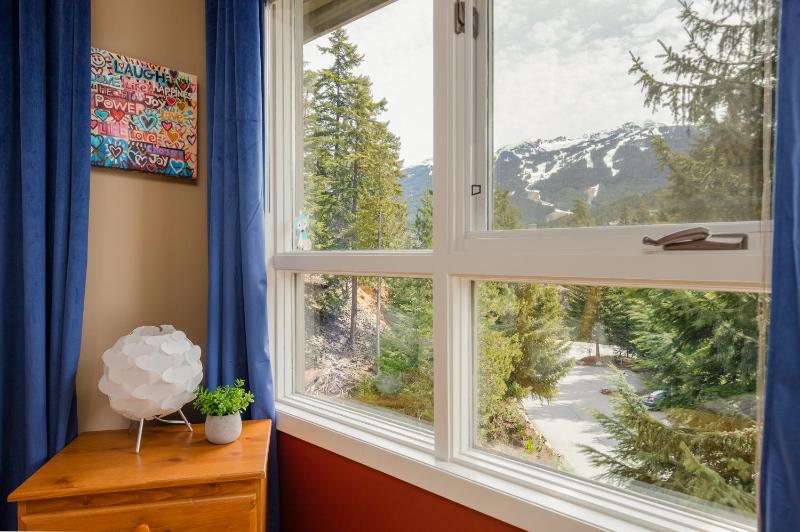 4BR in Blueberry Hill Estates Mountain Views Large Family Home Wood Fireplace Balcony - image 17