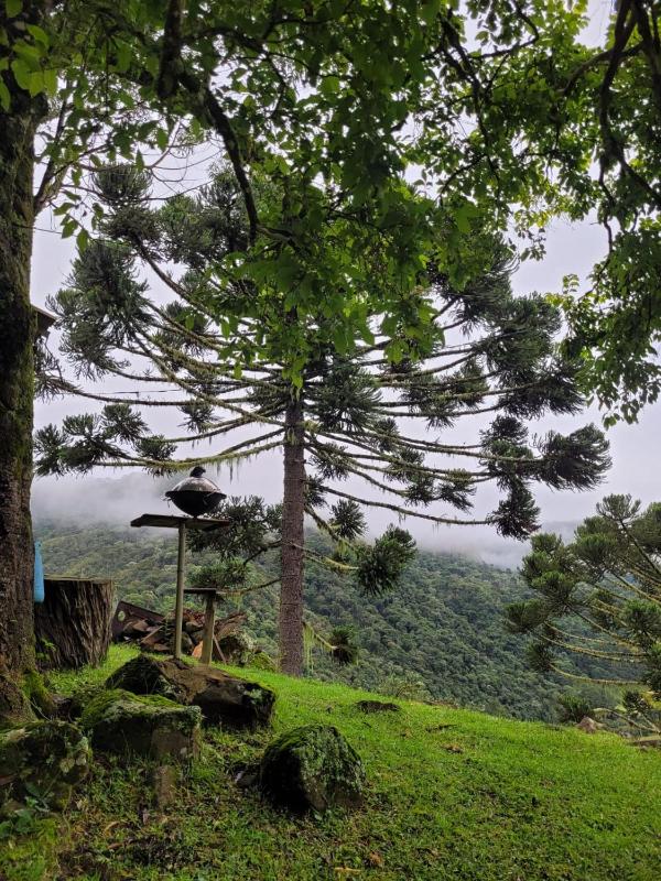 Refúgio das Araucárias - image 18