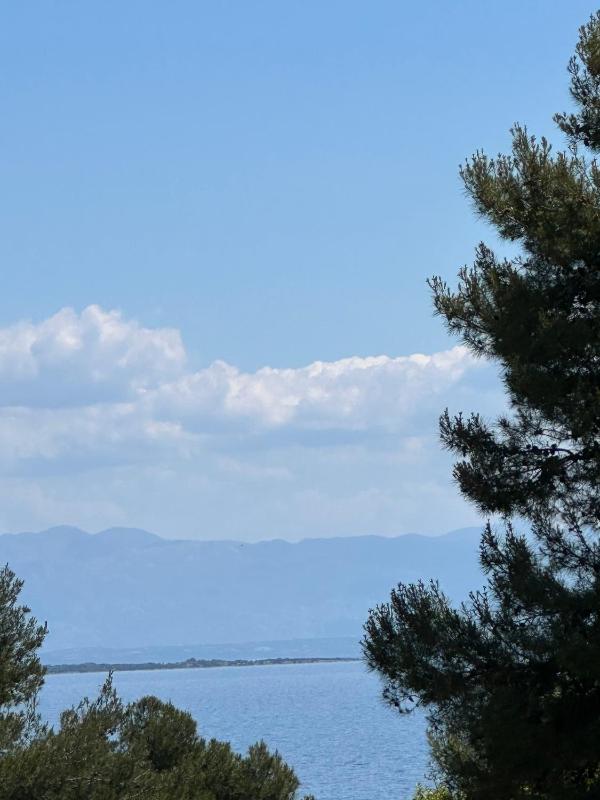 Apartments by the sea Mali Losinj (Losinj) - 14844 - image 17