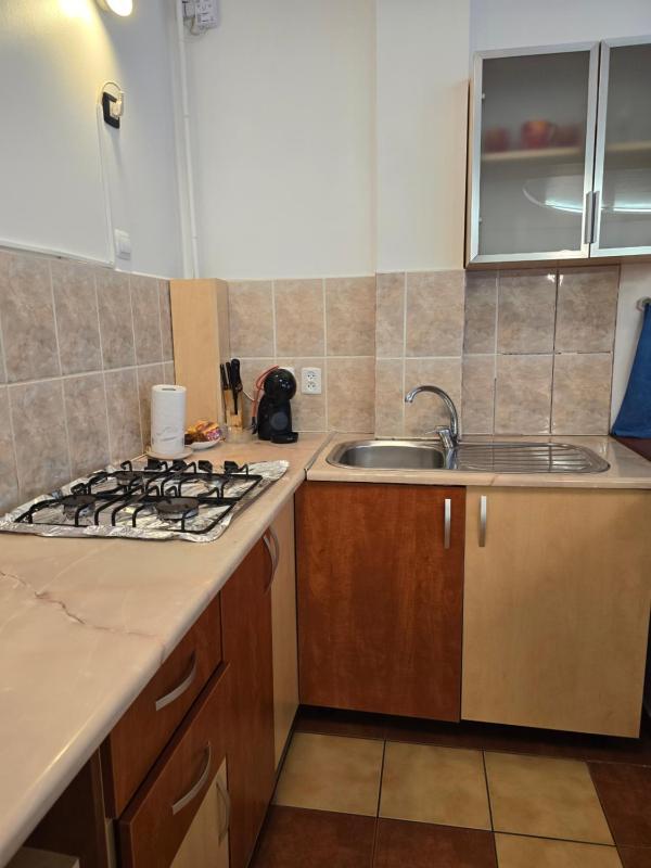 One-Bedroom Apartment image 4