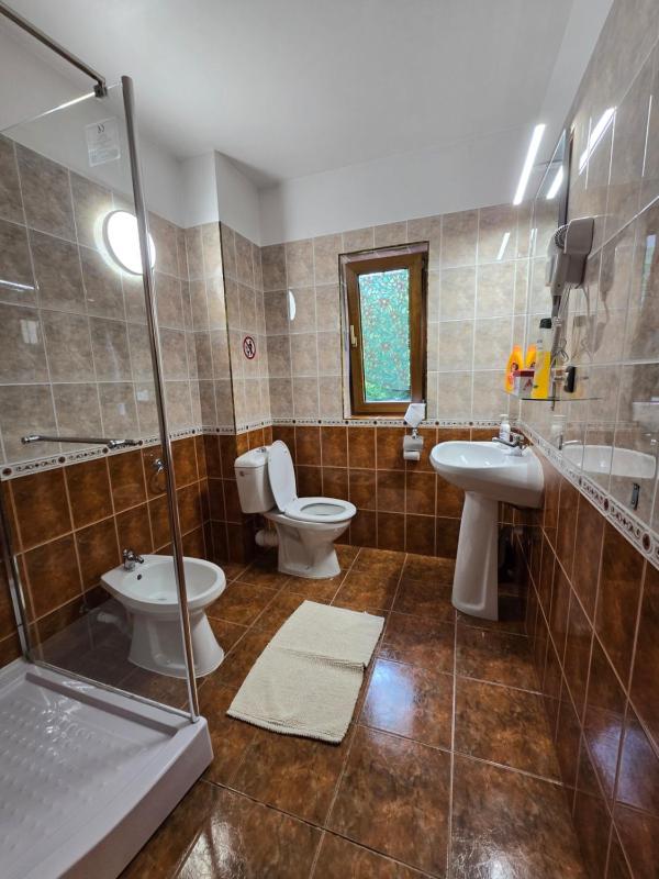 One-Bedroom Apartment image 3