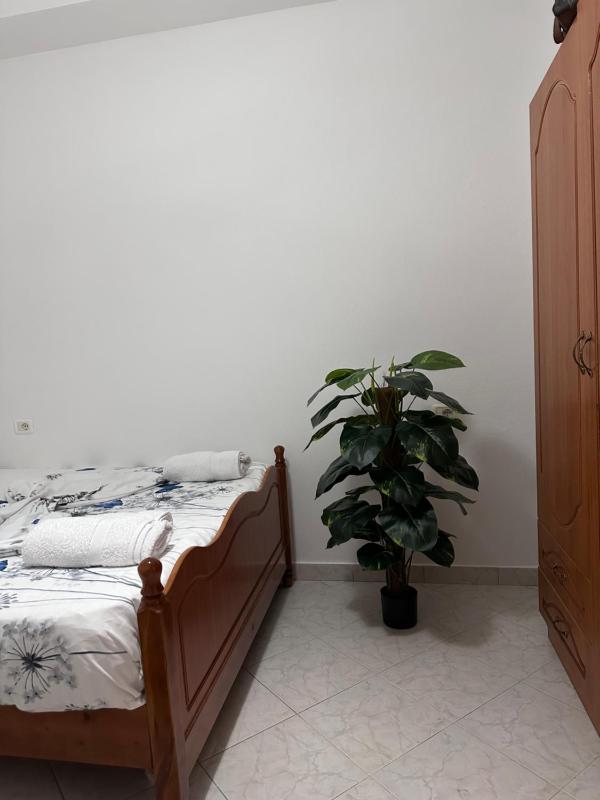 Summer Apartment - image 8