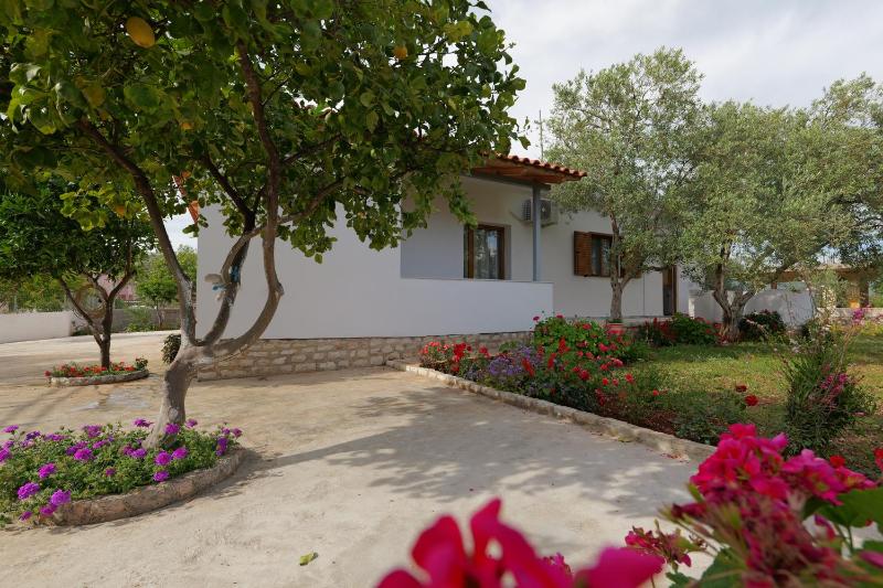 Brahimi Guest House - image 14