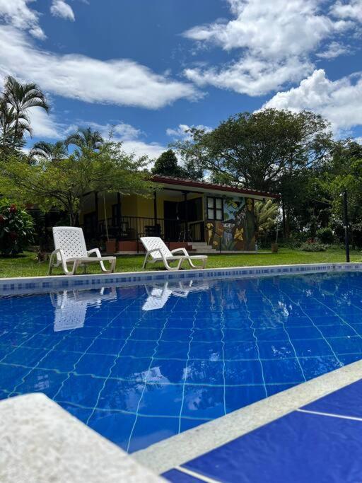 Charming Nature House/ Finca Tradicional Cafetera - image 16