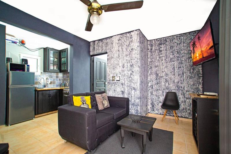 One Bedroom Apartment in Sosua  Great for Remote Workers Fast Wifi - image 2