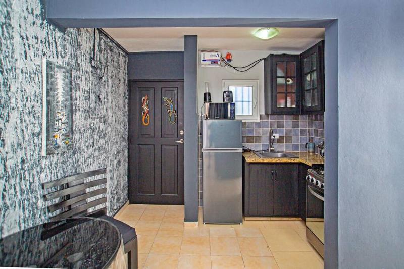 One Bedroom Apartment in Sosua  Great for Remote Workers Fast Wifi - image 16
