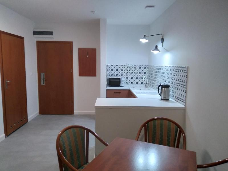 Studio with Terrace image 3