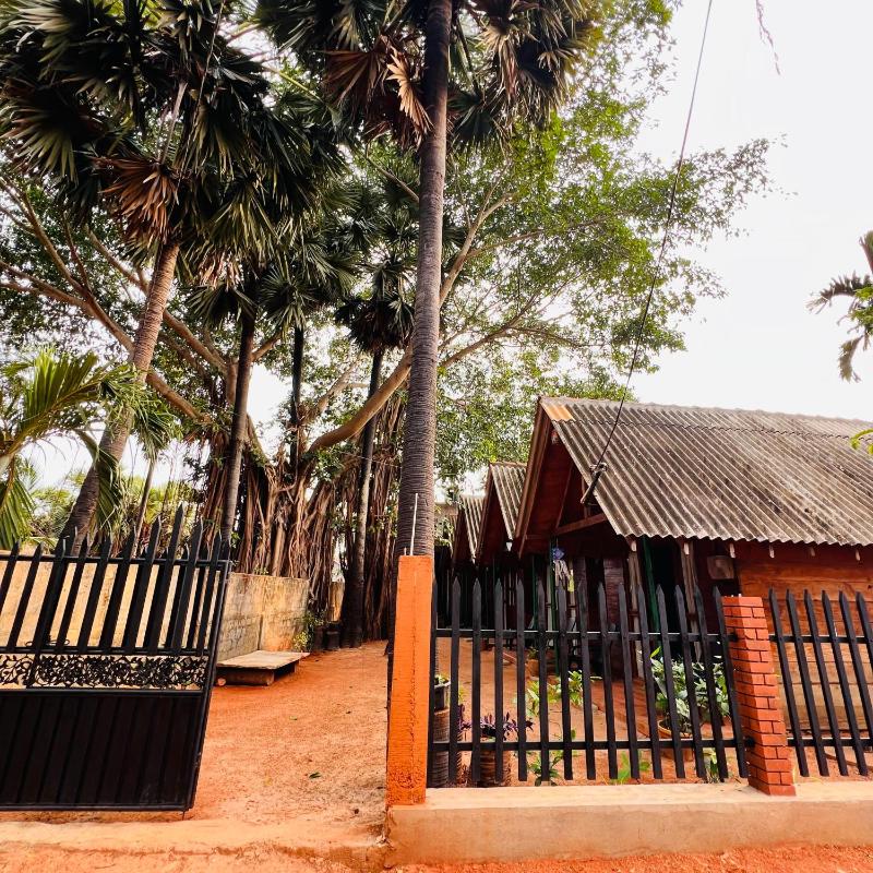 Cool Banyan Cabana - image 29