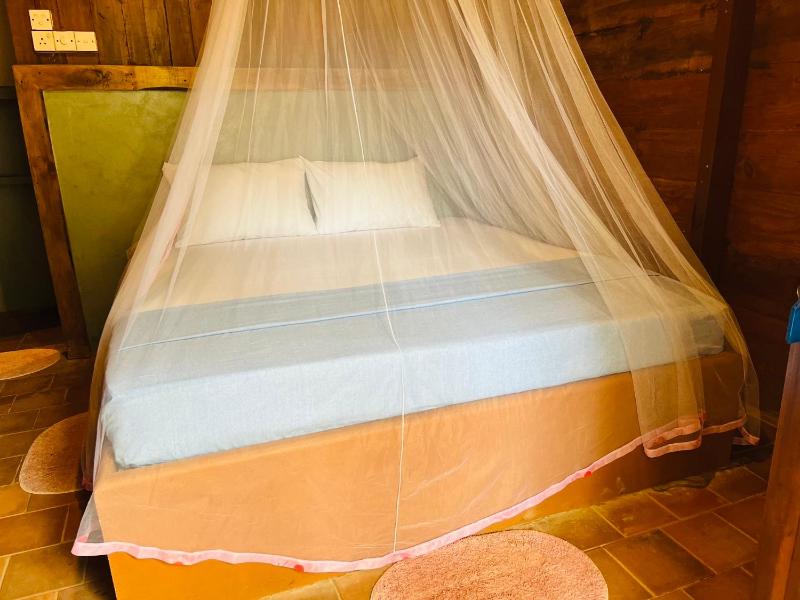 Cool Banyan Cabana - image 38