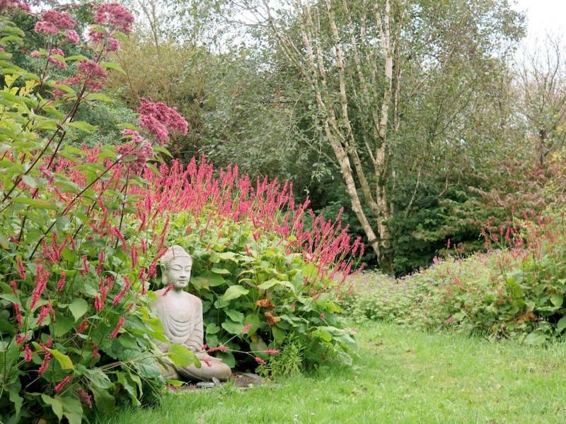 Cosy bijou retreat Images