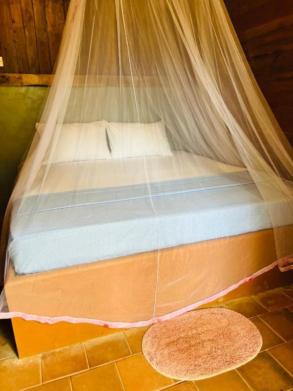 Cool Banyan Cabana - image 50