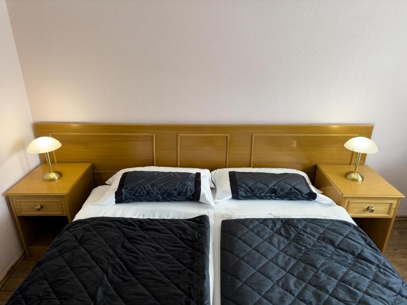 Double or Twin Room image 4